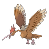 pokemon_id_22 깨비드릴조 