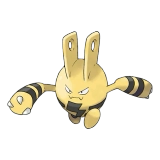 pokemon_id_239 에레키드 