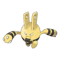 포켓몬 에레브 연관 포켓몬 239