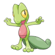 포켓몬 나무킹 연관 포켓몬 252