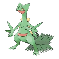 포켓몬 나무지기 연관 포켓몬 254