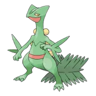 포켓몬 나무돌이 연관 포켓몬 254