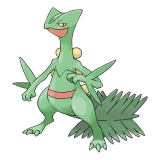pokemon_id_254 나무킹 