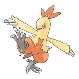 pokemon_id_256 영치코 