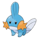 pokemon_id_258 물짱이 