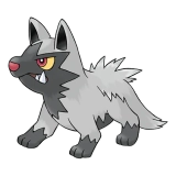 pokemon_id_261 포챠나 