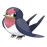 pokemon_id_276 테일로 