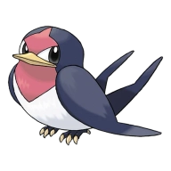 포켓몬 스왈로 연관 포켓몬 276