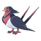 pokemon_id_277 스왈로 