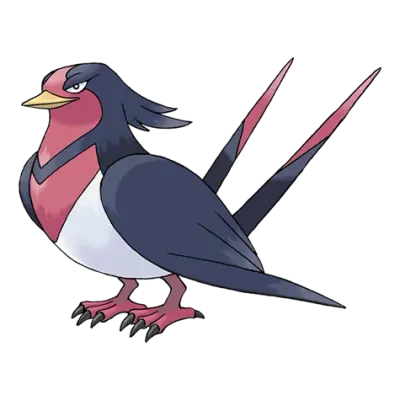 노말/비행 타입 포켓몬 스왈로의 이미지