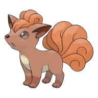 포켓몬 나인테일 연관 포켓몬 37