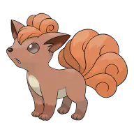 포켓몬 나인테일 연관 포켓몬 37