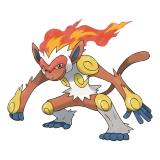 pokemon_id_392 초염몽 