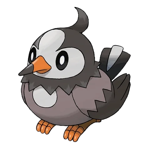 노말/비행 타입 포켓몬 찌르꼬의 이미지