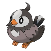 포켓몬 찌르호크 연관 포켓몬 396