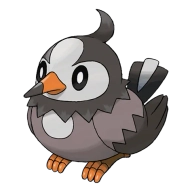 포켓몬 찌르호크 연관 포켓몬 396