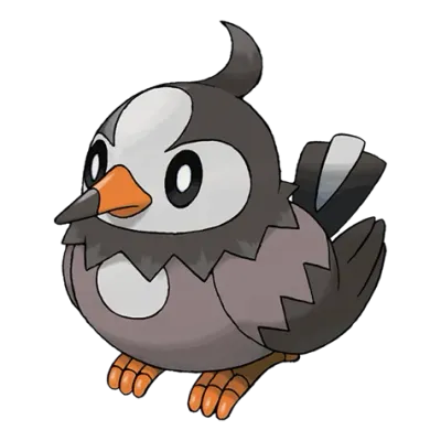 노말/비행 타입 포켓몬 찌르꼬의 이미지