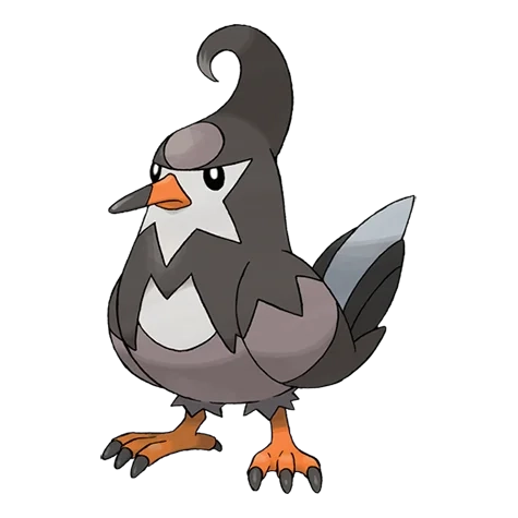 노말/비행 타입 포켓몬 찌르버드의 이미지