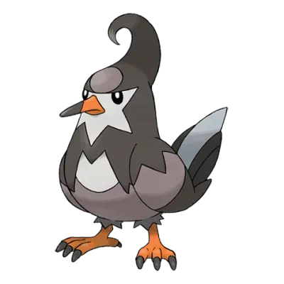 노말/비행 타입 포켓몬 찌르버드의 이미지
