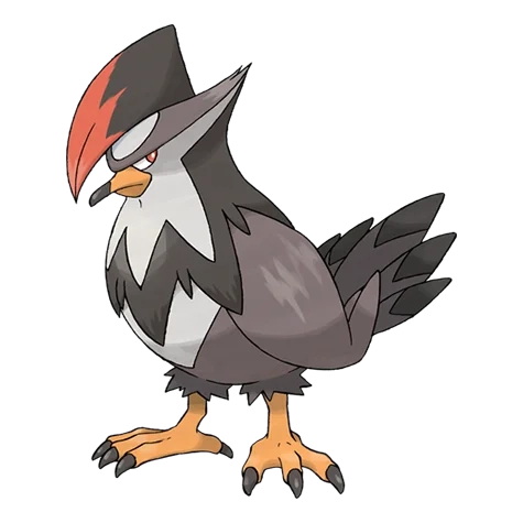 노말/비행 타입 포켓몬 찌르호크의 이미지