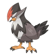 포켓몬 찌르꼬 연관 포켓몬 398