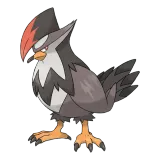 pokemon_id_398 찌르호크