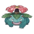 이상해꽃