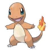 포켓몬 리자몽 연관 포켓몬 4