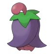 체리꼬