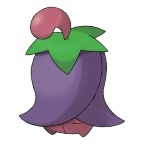 체리꼬