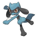 pokemon_id_447 리오르 