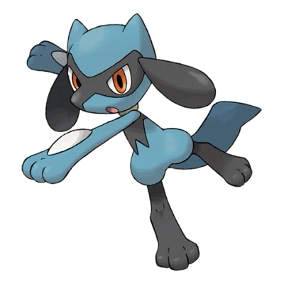 격투 타입 포켓몬 리오르의 이미지