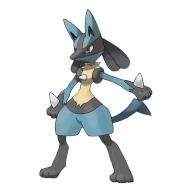 포켓몬 리오르 연관 포켓몬 448