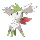 pokemon_id_492 쉐이미 쉐이미_스카이폼