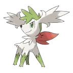 쉐이미_스카이폼