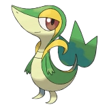 pokemon_id_495 주리비얀 