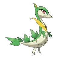 포켓몬 주리비얀 연관 포켓몬 496