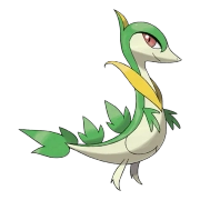 포켓몬 샤로다 연관 포켓몬 496