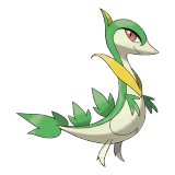 pokemon_id_496 샤비 