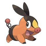 pokemon_id_498 뚜꾸리 