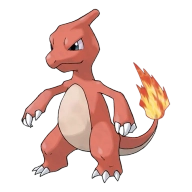 포켓몬 리자몽 연관 포켓몬 5