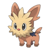 pokemon_id_506 요테리 