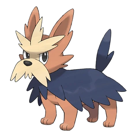 노말 타입 포켓몬 하데리어의 이미지