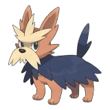 pokemon_id_507 하데리어 