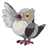 pokemon_id_519 콩둘기 