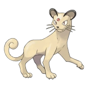 포켓몬 나옹 연관 포켓몬 53