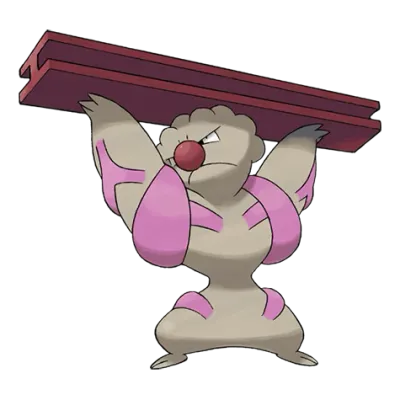 격투 타입 포켓몬 토쇠골의 이미지