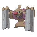 pokemon_id_534 노보청