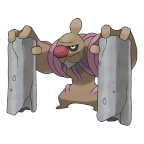 노보청