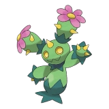 pokemon_id_556 마라카치 